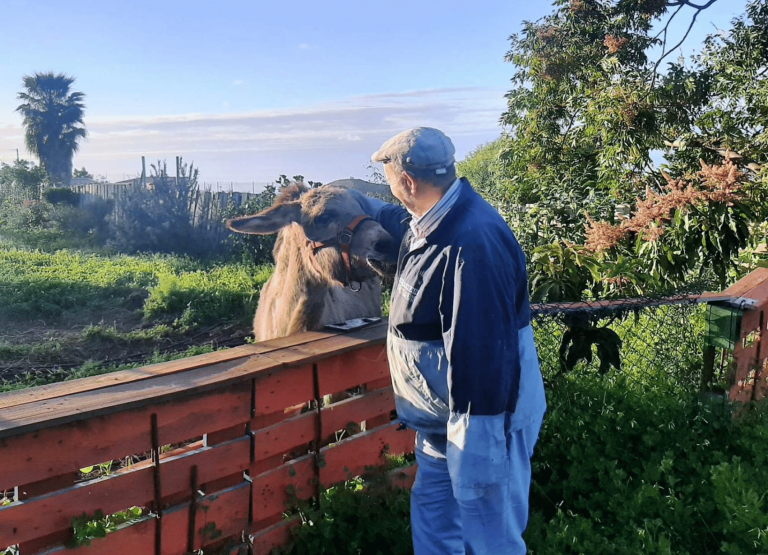 FINCA BERTA - ENCUENTROS